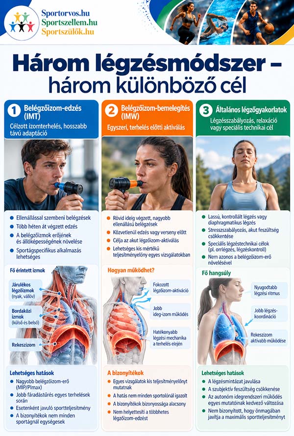 A légzés korlátozza a sportteljesítményt? Légzőizom-edzés és fáradás
