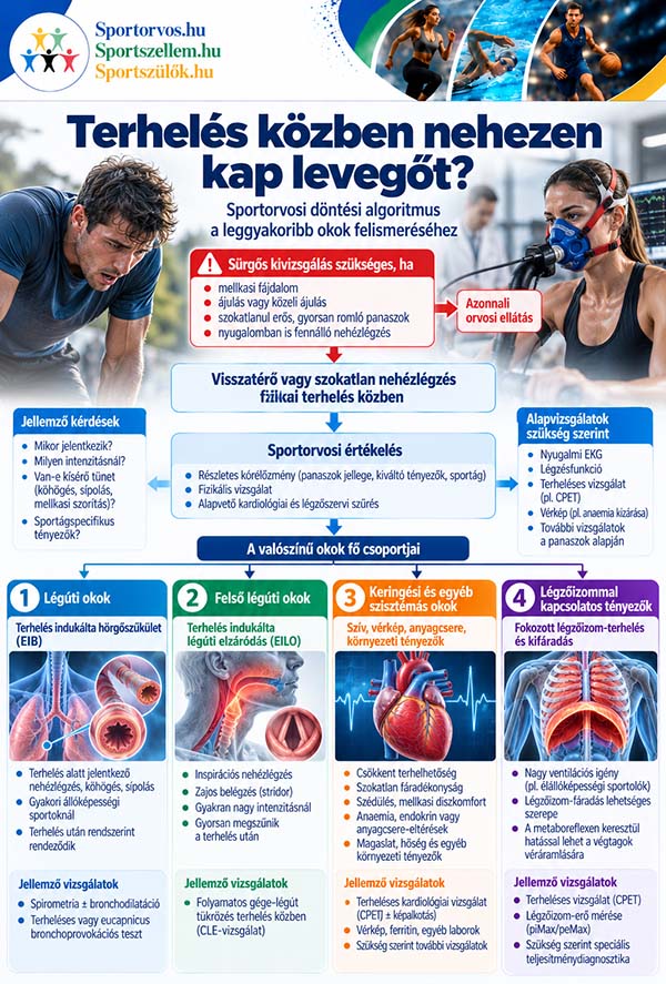 A légzés korlátozza a sportteljesítményt? Légzőizom-edzés és fáradás