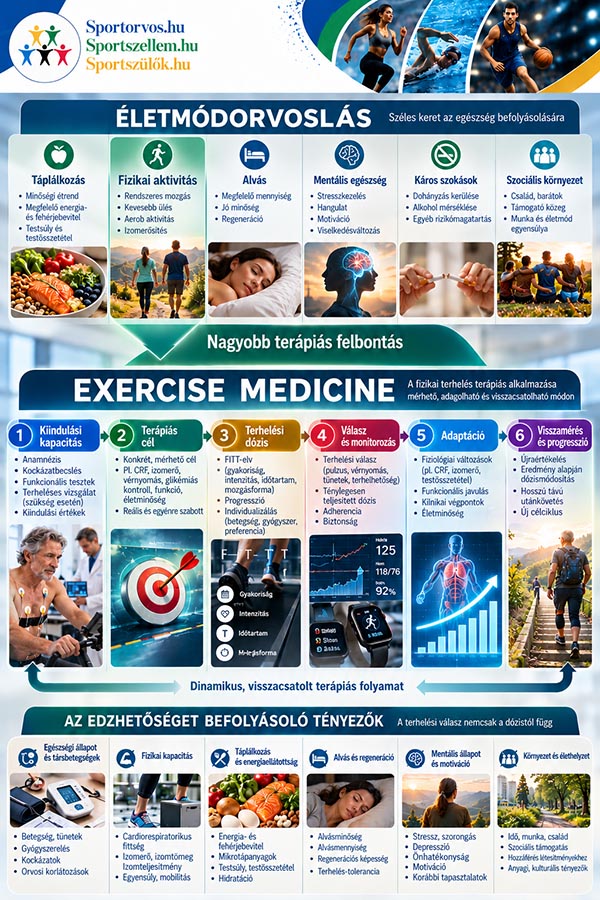 Exercise medicine – amikor a mozgásból valódi terápia lesz