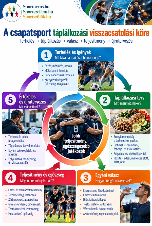 Csapatsportolók táplálkozása – hogyan kell enni egy edzés- és mérkőzéshéten?