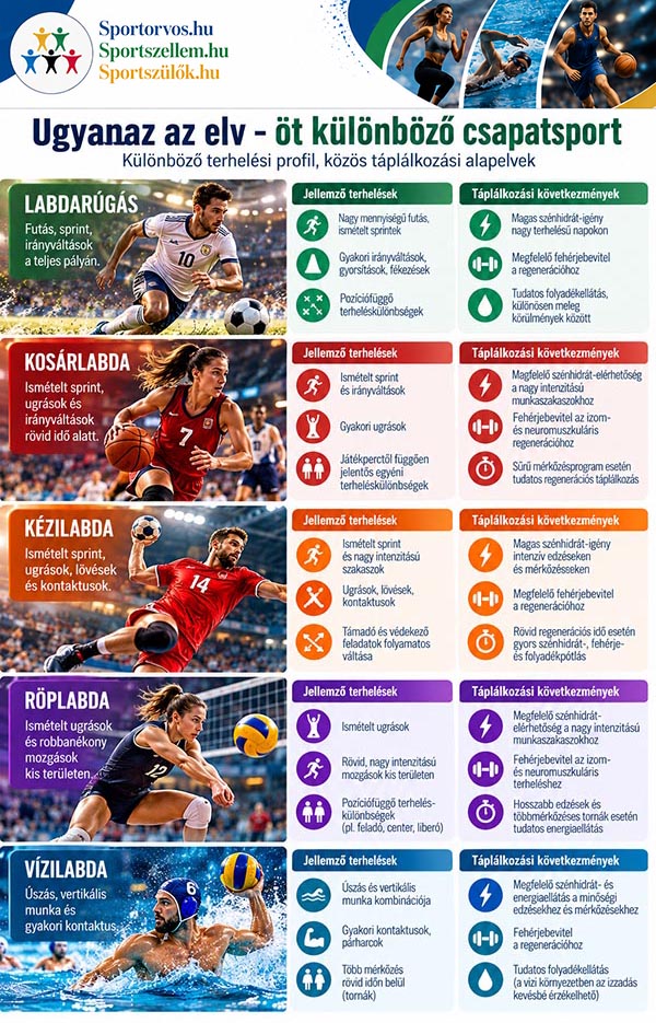 Csapatsportolók táplálkozása – hogyan kell enni egy edzés- és mérkőzéshéten?