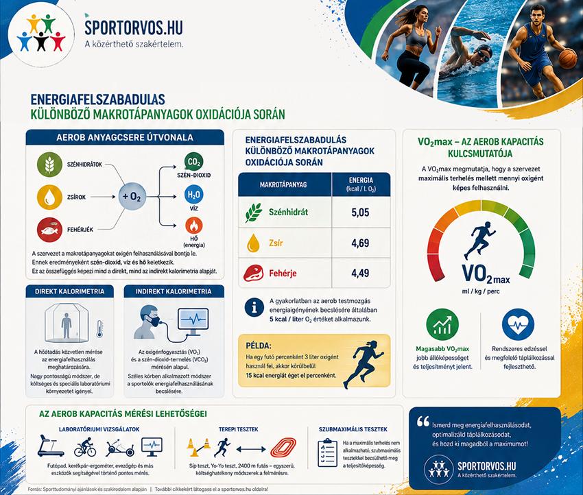 Energia sportoláshoz és testmozgáshoz