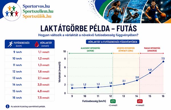 laktátgörbe értelmezése