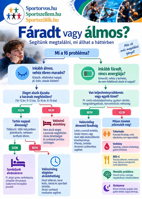 Mennyi alvásra van szüksége egy 10–16 éves sportolónak?