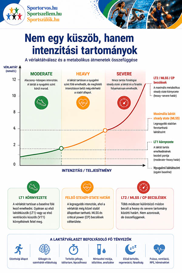 tejsav sportolóknál